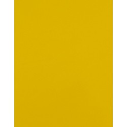 Folia CAD-CUT® Basic