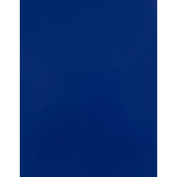 Folia CAD-CUT® Silicone 200