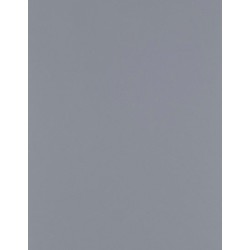CAD-CUT® Silikon 500