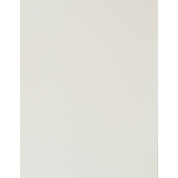 CAD-CUT® Silikon 500