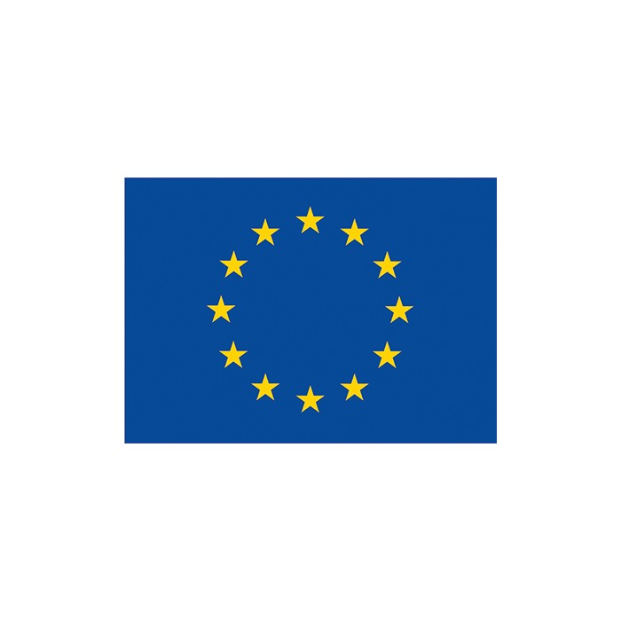 Flag Europe