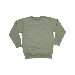 The Sweatshirt