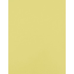 CAD-CUT® Premium Plus