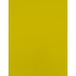 CAD-CUT® SportsFilm