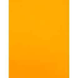 CAD-CUT® SportsFilm