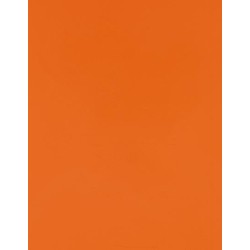 CAD-CUT® SportsFilm