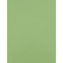 CAD-CUT® SportsFilm