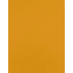 CAD-CUT® SportsFilm