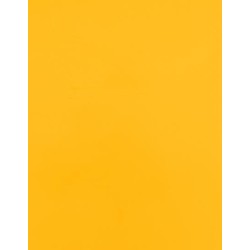 CAD-CUT® SportsFilm