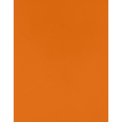 CAD-CUT® SportsFilm
