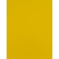CAD-CUT® SportsFilm