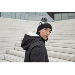 Striped Fan Beanie