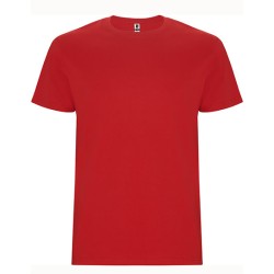 T-shirt dla dzieci Stafford