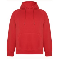 Organiczny bluza z kapturem Vinson