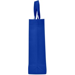Lake Bag