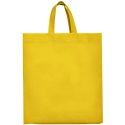 Lake Bag