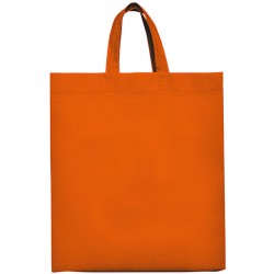 Lake Bag
