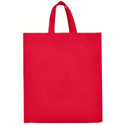 Lake Bag