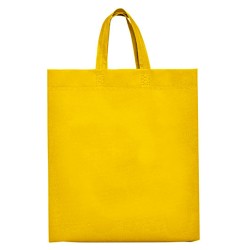 Lake Bag