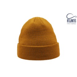 Blog Beanie