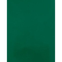 CAD-CUT® Silicone 100