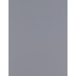 CAD-CUT® Silikon 100
