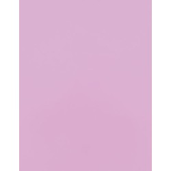 CAD-CUT® Silicone 100