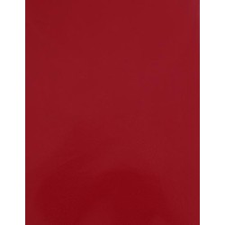 CAD-CUT® Silicone 100