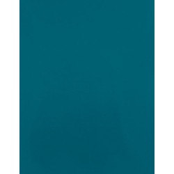 CAD-CUT® Silicone 100