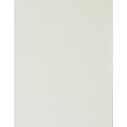 CAD-CUT® Silicone 100