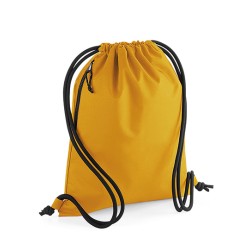 Recycled Gymsac