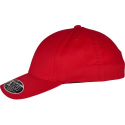 Flexfit 110 Zakrzywiony daszek Snapback
