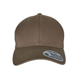 Flexfit 110 Zakrzywiony daszek Snapback