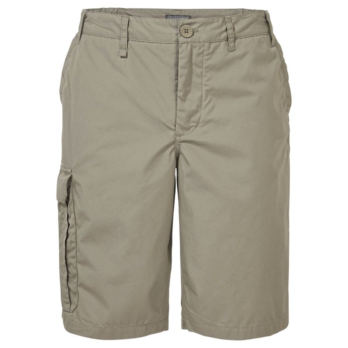 Expert Kiwi Long Short