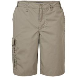 Expert Kiwi Long Short