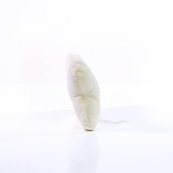 MiniFeet® Dog Toy Bone With Squeak Function