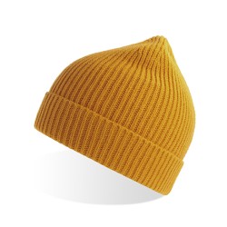 Andy Beanie