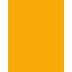  Polyneon 40 (1.000 m) 