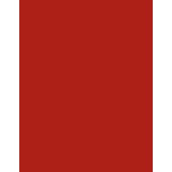  Polyneon 40 (1.000 m) 