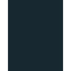  Polyneon 40 (1.000 m) 