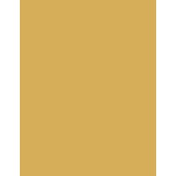  Polyneon 40 (1.000 m) 