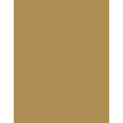  Polyneon 40 (1.000 m) 