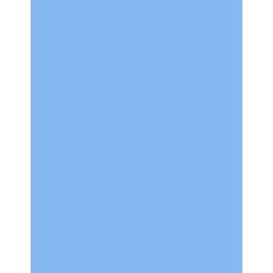  Polyneon 40 (1.000 m) 
