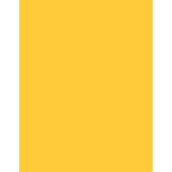  Polyneon 40 (1.000 m) 