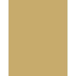  Polyneon 40 (1.000 m) 