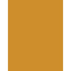  Polyneon 40 (1.000 m) 