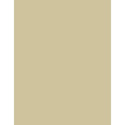  Polyneon 40 (1.000 m) 