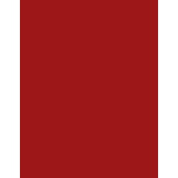  Polyneon 40 (1.000 m) 