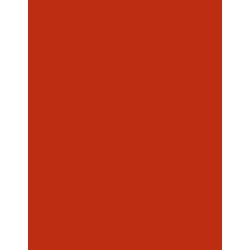  Polyneon 40 (1.000 m) 