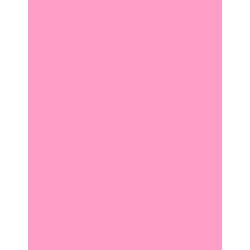 Polyneon 40 (1.000 m) 